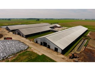 Property photo 6 - OHIO DAIRY DISPERSAL AUCTION - 160+/- ACRES OFFERED IN 5 TRACTS IN DEFIANCE COUNTY, OHIO